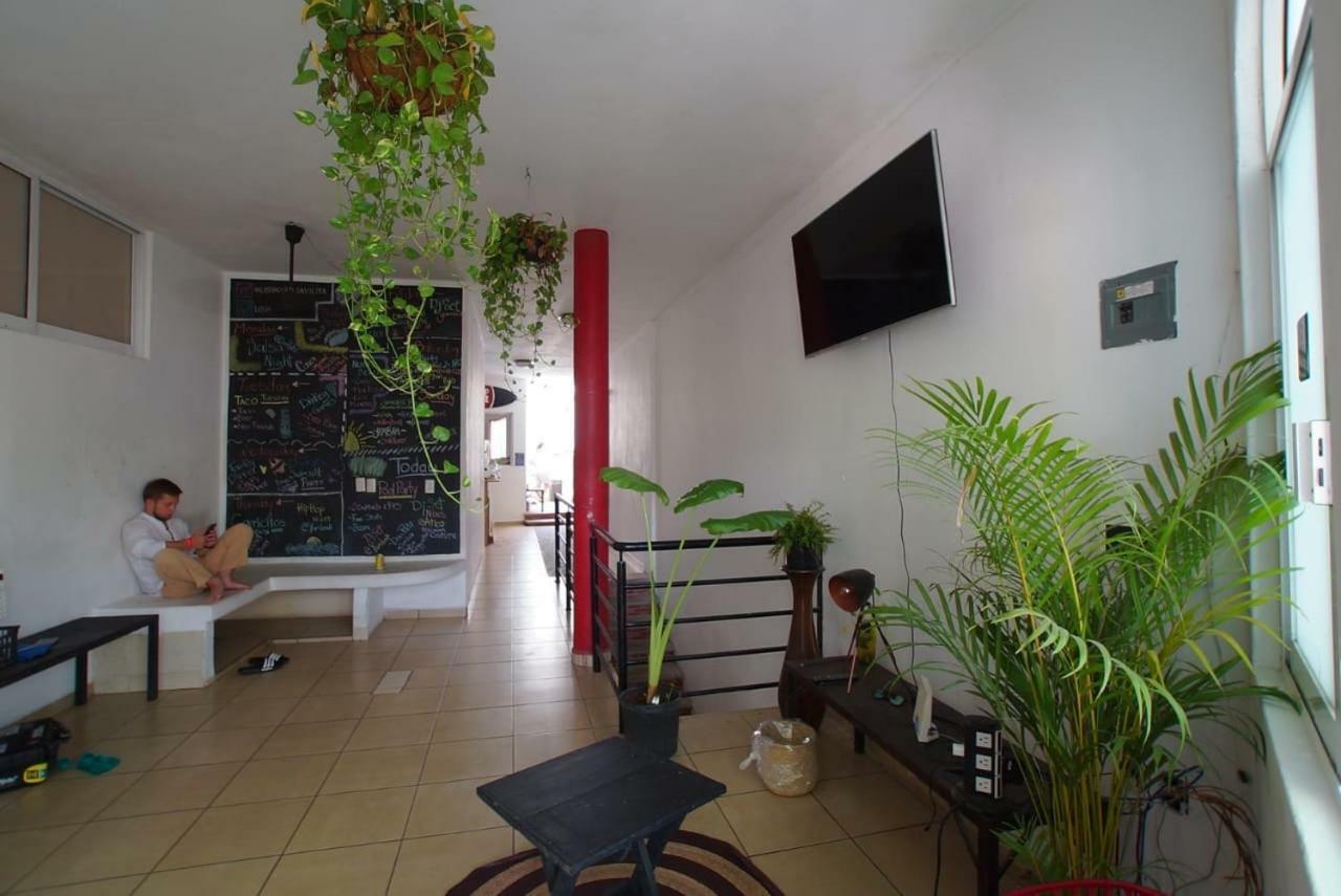 Hostel Lush Sayulita Exterior foto